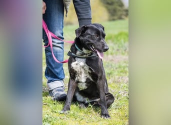 SALI SI sucht ihr Herz-Zuhause ❤️