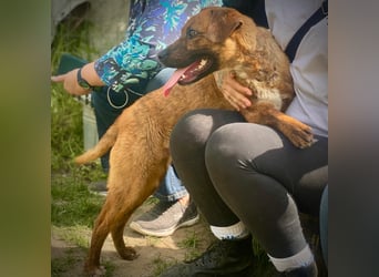 Wonder LM – lebensfroher Schmusebär sucht sein Glück 