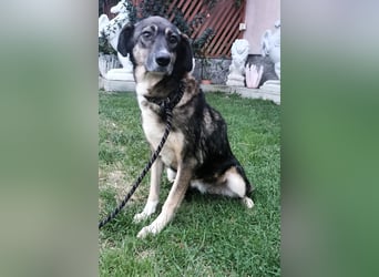 Bella LUNA - ist eine Herzensentscheidung