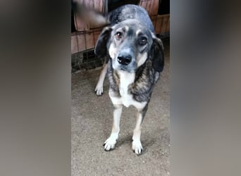 Bella LUNA - ist eine Herzensentscheidung