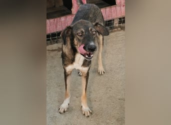 Bella LUNA - ist eine Herzensentscheidung