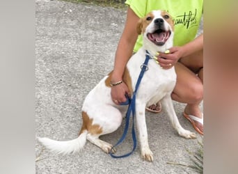 Gute Laune „Meggie“  ist startklar für ein neues Leben