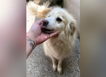 Rosalie - facettenreich und dazu noch bildhübsch