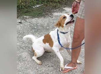 Gute Laune „Meggie“  ist startklar für ein neues Leben