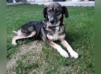 Bella LUNA - ist eine Herzensentscheidung