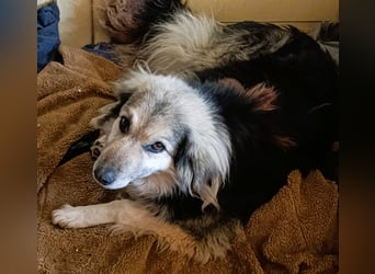 Rita - ein ganz besonderes Mädchen sucht ihr Plätzchen für immer