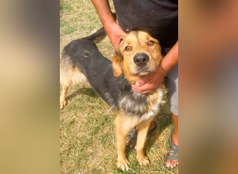 Sajan - ein Freund und noch viel mehr Sajan - ein Freund und noch viel mehr