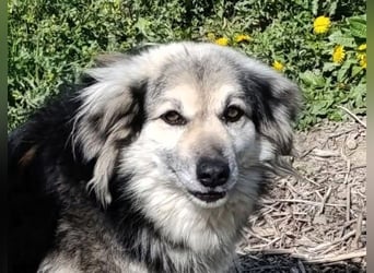 Rita - ein ganz besonderes Mädchen sucht ihr Plätzchen für immer
