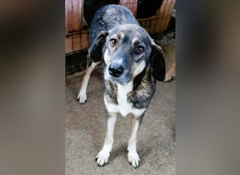 Bella LUNA - ist eine Herzensentscheidung