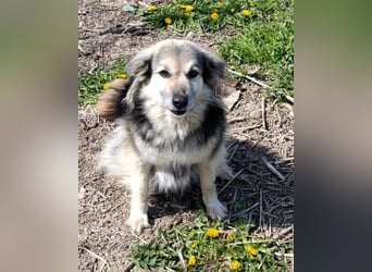 Rita - ein ganz besonderes Mädchen sucht ihr Plätzchen für immer