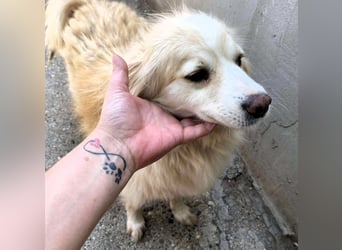 Rosalie - facettenreich und dazu noch bildhübsch