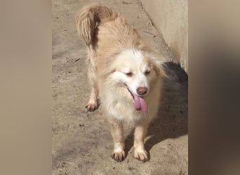 Rosalie - facettenreich und dazu noch bildhübsch