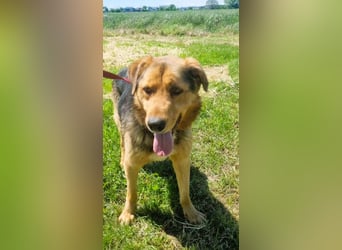 Sajan - ein Freund und noch viel mehr Sajan - ein Freund und noch viel mehr