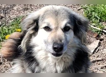 Rita - ein ganz besonderes Mädchen sucht ihr Plätzchen für immer