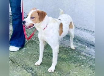 Gute Laune „Meggie“  ist startklar für ein neues Leben