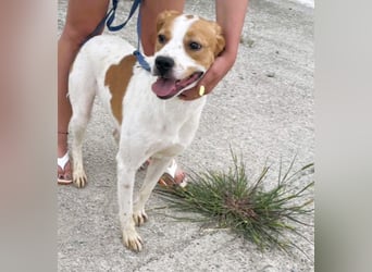 Gute Laune „Meggie“  ist startklar für ein neues Leben