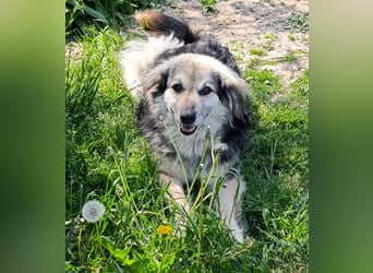 Rita - ein ganz besonderes Mädchen sucht ihr Plätzchen für immer