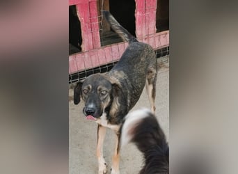 Bella LUNA - ist eine Herzensentscheidung