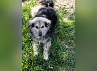 Rita - ein ganz besonderes Mädchen sucht ihr Plätzchen für immer