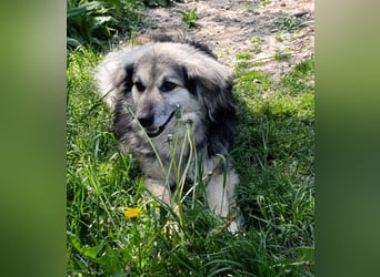Rita - ein ganz besonderes Mädchen sucht ihr Plätzchen für immer
