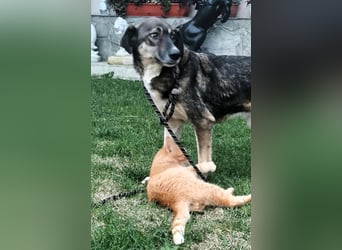 Bella LUNA - ist eine Herzensentscheidung