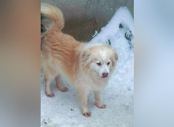 Rosalie - facettenreich und dazu noch bildhübsch