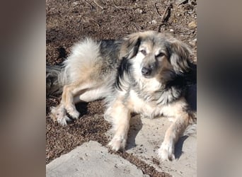 Rita - ein ganz besonderes Mädchen sucht ihr Plätzchen für immer