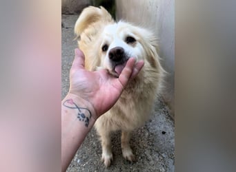 Rosalie - facettenreich und dazu noch bildhübsch