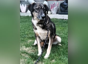 Bella LUNA - ist eine Herzensentscheidung