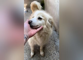 Rosalie - facettenreich und dazu noch bildhübsch