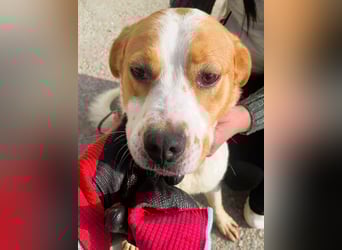 Gute Laune „Meggie“  ist startklar für ein neues Leben