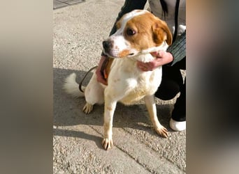 Gute Laune „Meggie“  ist startklar für ein neues Leben