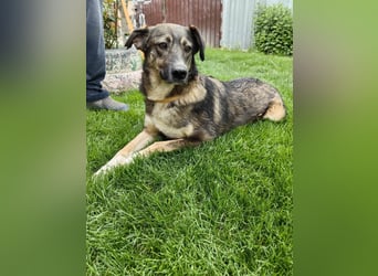 Bella LUNA - ist eine Herzensentscheidung