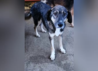 Bella LUNA - ist eine Herzensentscheidung