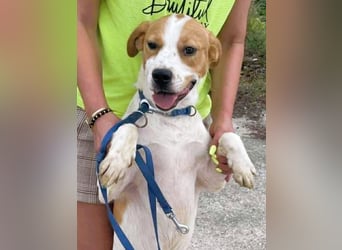 Gute Laune „Meggie“  ist startklar für ein neues Leben