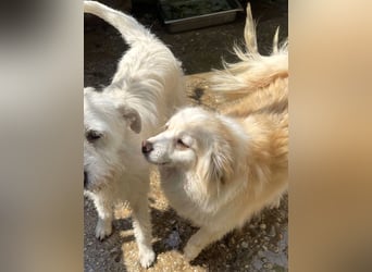 Rosalie - facettenreich und dazu noch bildhübsch