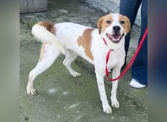 Gute Laune „Meggie“  ist startklar für ein neues Leben