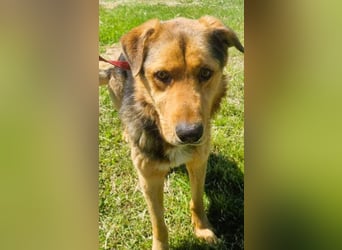 Sajan - ein Freund und noch viel mehr Sajan - ein Freund und noch viel mehr