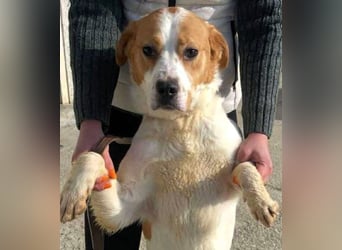 Gute Laune „Meggie“  ist startklar für ein neues Leben