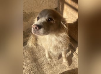 Rosalie - facettenreich und dazu noch bildhübsch