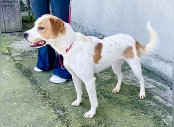 Gute Laune „Meggie“  ist startklar für ein neues Leben