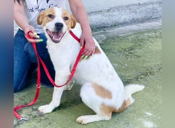 Gute Laune „Meggie“  ist startklar für ein neues Leben