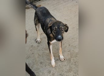 Bella LUNA - ist eine Herzensentscheidung