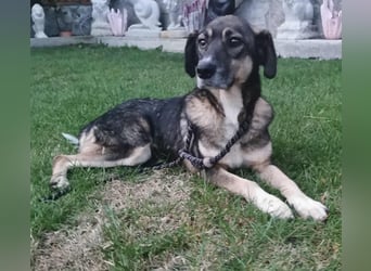 Bella LUNA - ist eine Herzensentscheidung