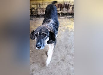 Bella LUNA - ist eine Herzensentscheidung