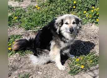 Rita - ein ganz besonderes Mädchen sucht ihr Plätzchen für immer