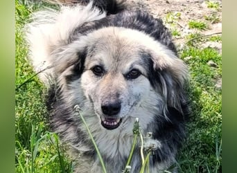 Rita - ein ganz besonderes Mädchen sucht ihr Plätzchen für immer