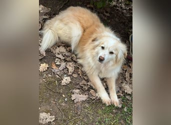 Rosa – hübsche Maus wartet in PLZ 75217 Birkenfeld auf Besuch