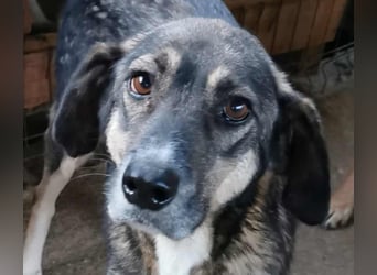 Bella LUNA - ist eine Herzensentscheidung