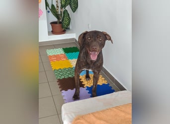 Philip, geb. 04.2025, 53cm sucht seine Menschen